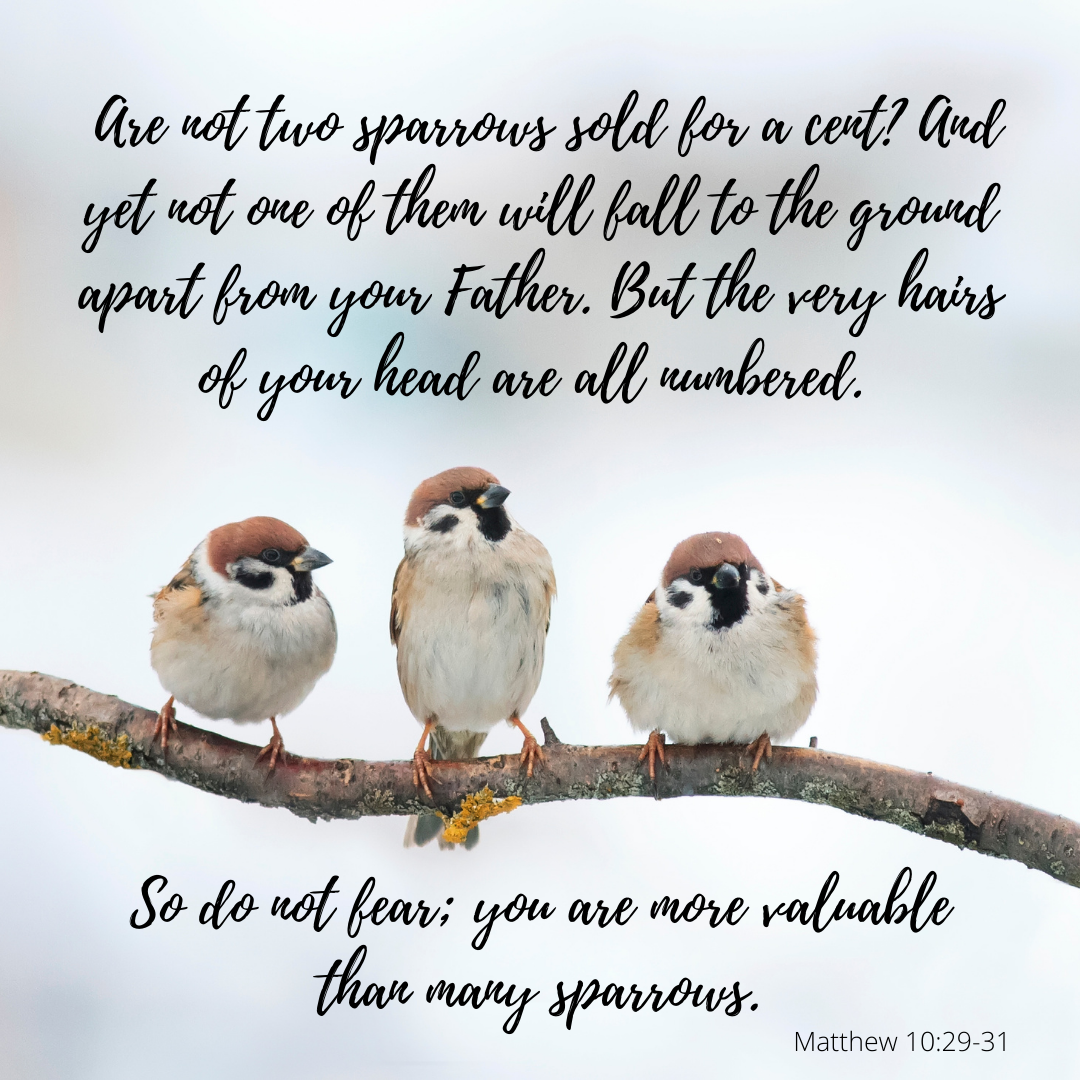A Disciple’s Job Description – The Way Of The Word