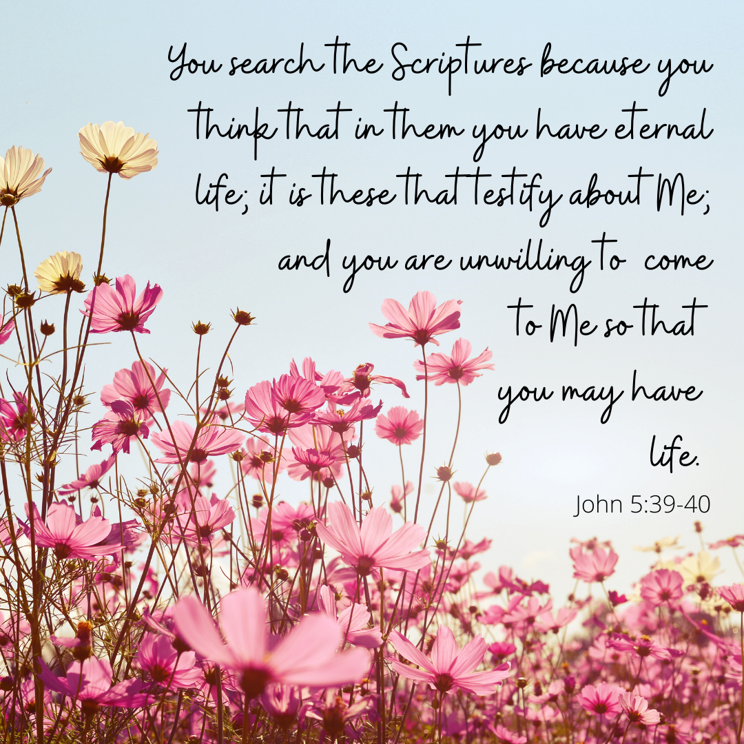 What Do You See? – The Way Of The Word
