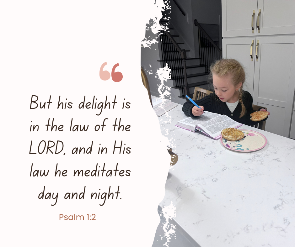 Delighting And Meditating – The Way Of The Word